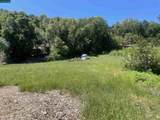 1180 Bear Creek Rd - Photo 2
