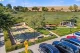 241 Fennel Way - Photo 44