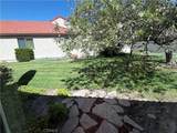 19946 Ave Of The Oaks - Photo 25