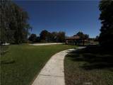 19946 Ave Of The Oaks - Photo 60