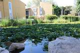 17081 Bernardo Dr - Photo 28