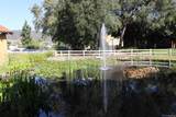17081 Bernardo Dr - Photo 33