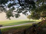 54 Paseo Viento - Photo 35
