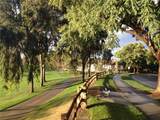 54 Paseo Viento - Photo 40