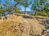 6452 Alta Pradera - Photo 10
