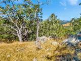 6452 Alta Pradera - Photo 7