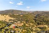 10761 Red Eye Road - Photo 11