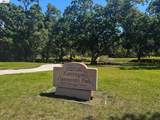 1137 Kottinger Dr - Photo 29