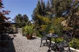 27703 Ortega - Photo 35