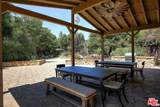 5445 Tree Farm Lane - Photo 44
