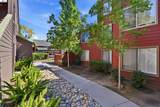 947 Catkin Court - Photo 20