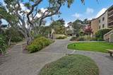 4205 Golden Oaks Lane - Photo 1