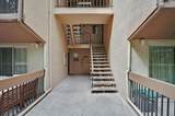 4205 Golden Oaks Lane - Photo 9
