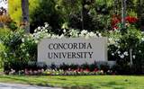 95 Canopy - Photo 57