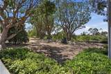 29121 Via Cerrito - Photo 34