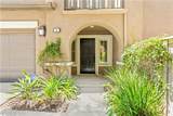 2 Staghorn - Photo 4