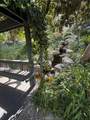 3605 Hidden Lane - Photo 11