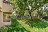 2610 Paseo Olivas - Photo 32