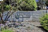 37200 Meadowbrook Cmn - Photo 30