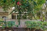 2700 Oak Road - Photo 35