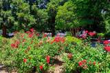 2700 Oak Road - Photo 41