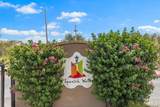 467 Paseo Del Corazon - Photo 31