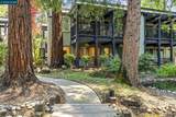 109 Rubicon Cir - Photo 39