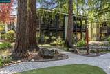 109 Rubicon Cir - Photo 45