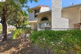 60 Joya Ln - Photo 32