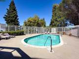 113 Sea Crest Cir - Photo 18