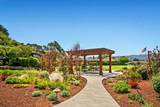 20 Del Mesa Carmel - Photo 44