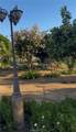 24720 Quail Run - Photo 18
