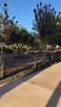 24720 Quail Run - Photo 19