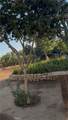 24720 Quail Run - Photo 20