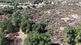 34965 Borchard - Photo 3