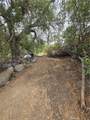 34965 Borchard - Photo 6