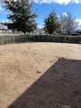 16503 Smoke Tree - Photo 4
