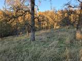 0 Avacado Road - Photo 10