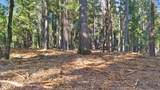 0 Nimshew Ridge - Photo 9