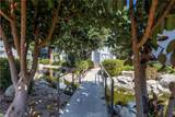 305 Orange Blossom - Photo 22