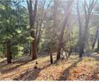 0 Thunderbird - Photo 7