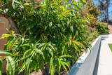 12831 Isocoma Street - Photo 42