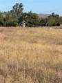 0 Cactus Valley Road - Photo 5