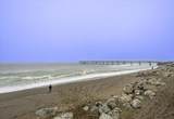 2311 Beach Boulevard - Photo 20
