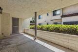 966 Lupine Hills Drive - Photo 34