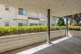 966 Lupine Hills Drive - Photo 35