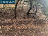  Mountain View Ave - Photo 2