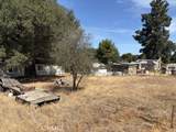 0 Cleveland Forest Drive - Photo 3