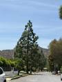 22231 Romar Street - Photo 39