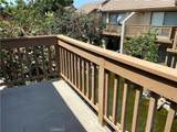 461 Orange Blossom - Photo 6